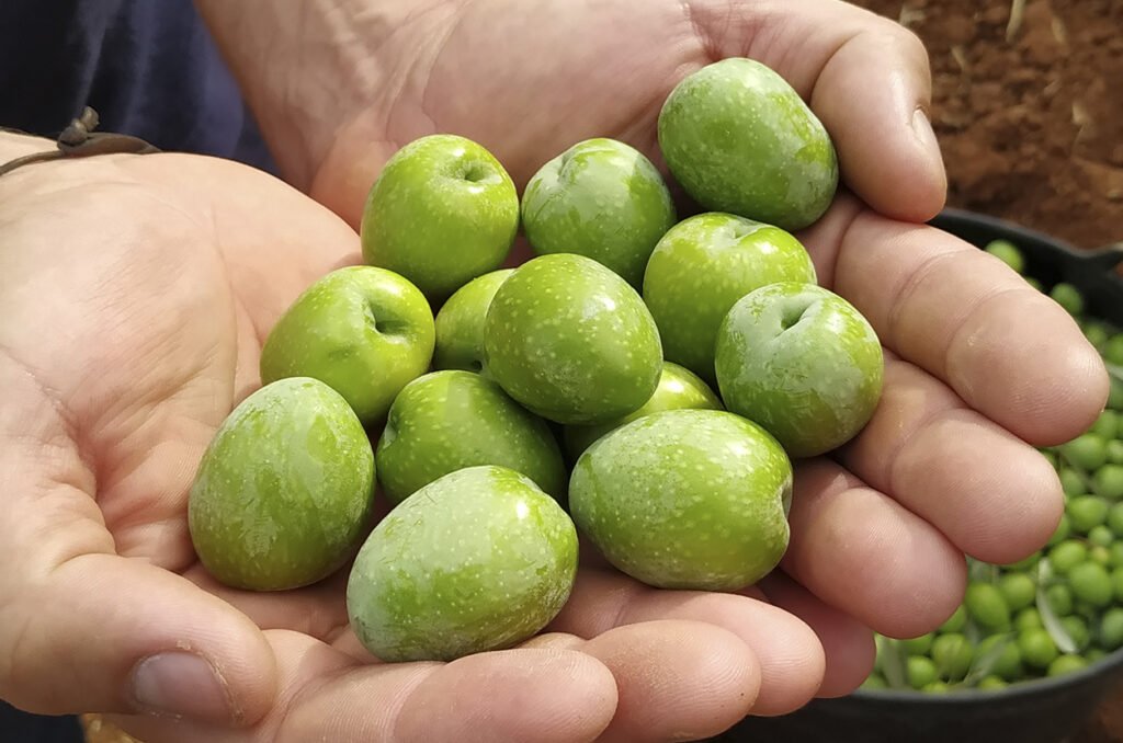 El Ministerio de Agricultura promociona el consumo de los “Alimentos de España” 4 El Ministerio de Agricultura promociona el consumo de los “Alimentos de España” 3