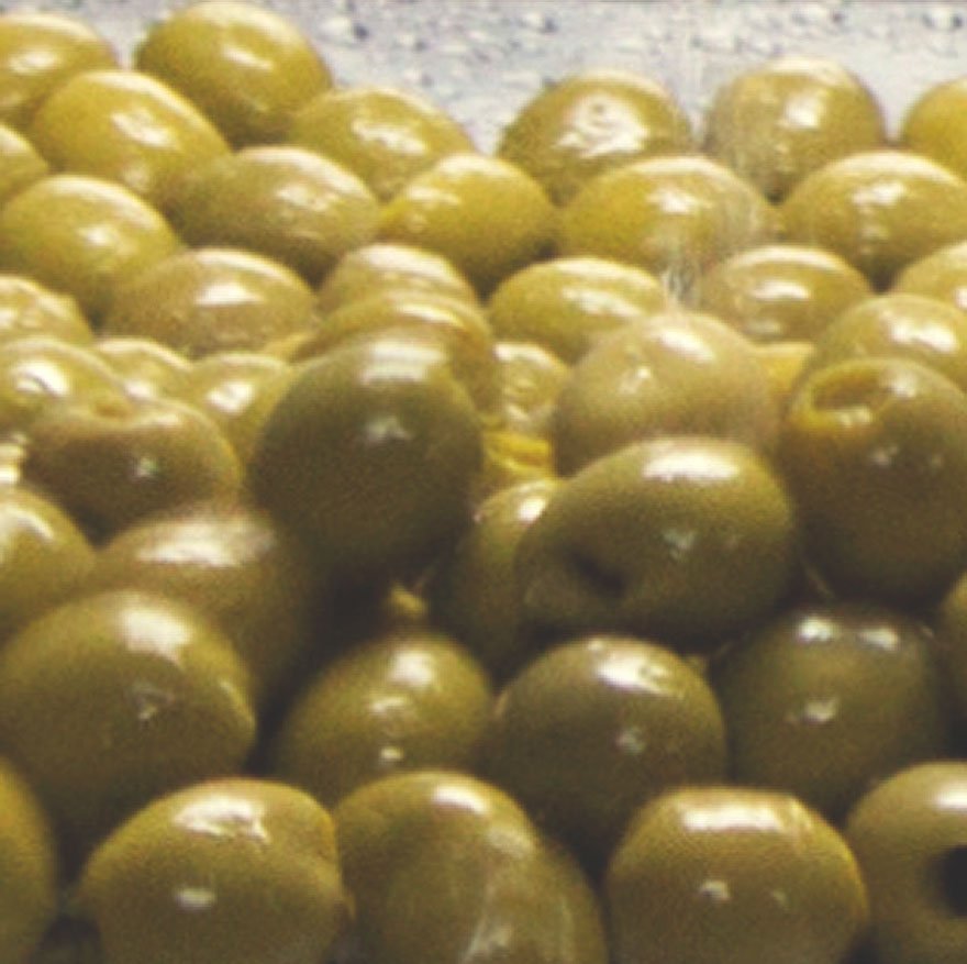 proceso_lavado_aceituna_manzanilla Aceituna Manzanilla de Sevilla 1