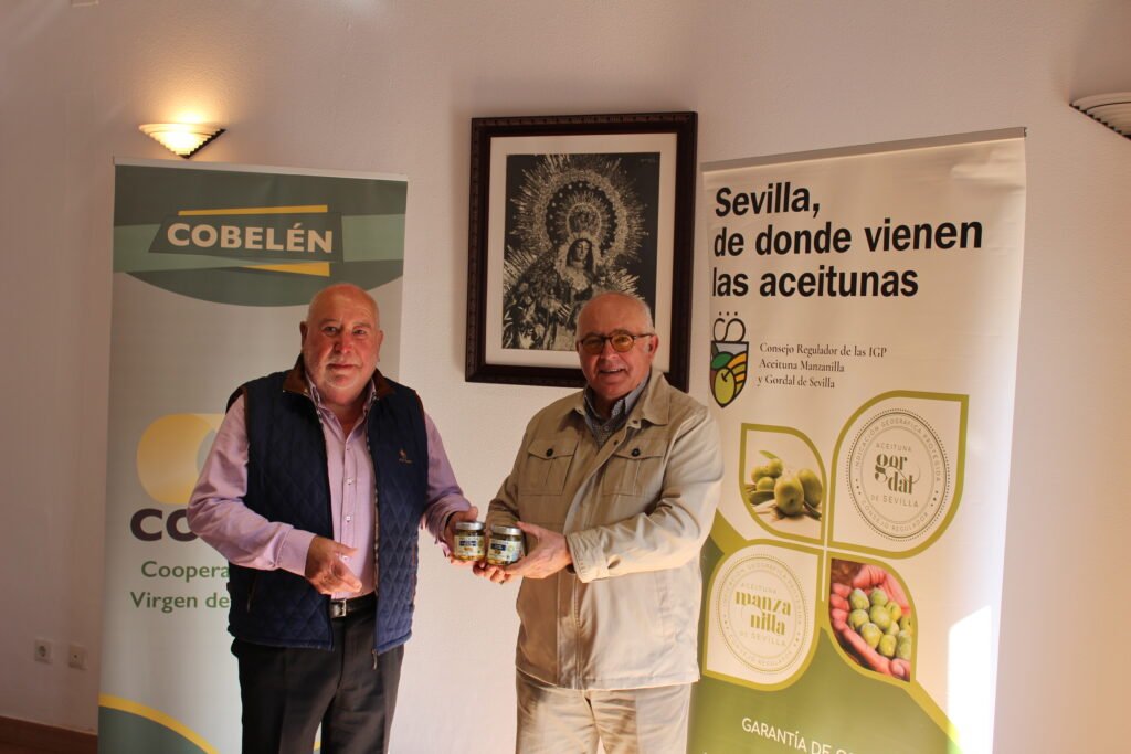Cobelén, lanza sus primeras aceitunas con el sello de la IGP Aceitunas Manzanilla y Gordal de Sevilla. 2 Cobelén, lanza sus primeras aceitunas con el sello de la IGP Aceitunas Manzanilla y Gordal de Sevilla. 1