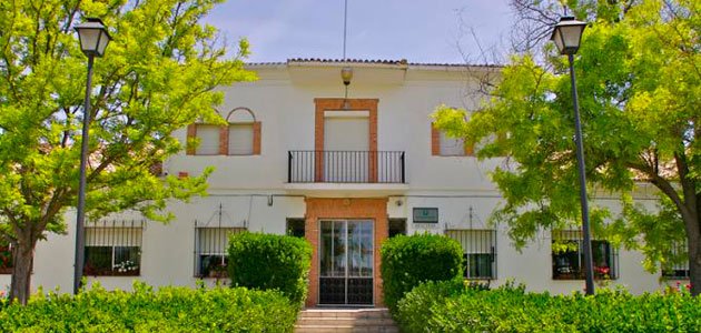 “Insignia de Oro” para el Ifapa por su labor en I+D+i y su compromiso con el sector oleícola de Jaén