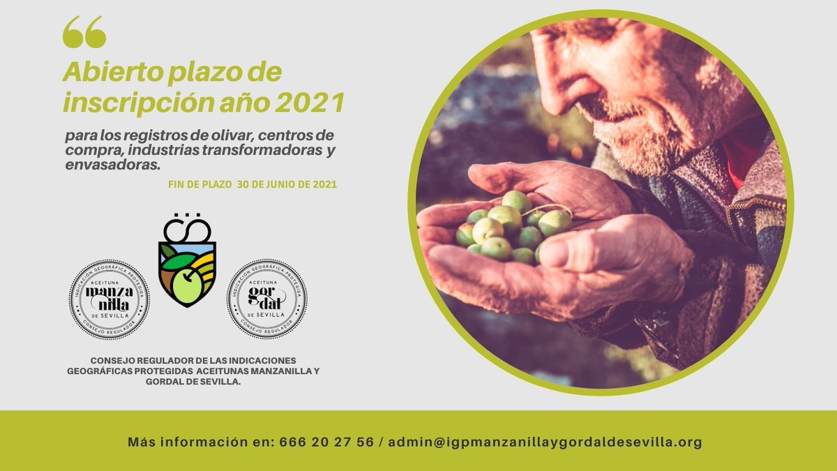 Abierto el plazo de inscripción para los registros de olivar, centros de compra, industrias transformadoras y envasadoras hasta el 30 de junio de 2021.
Más info en el teléfono 666 20 27 56 o en el email: admin@igpmanzanillaygordaldesevilla.org
#sevilladedondevienenlasaceitunas