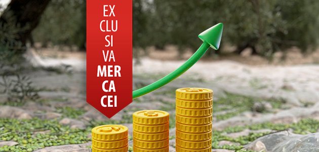 ¿Qué sucederá con los precios del aceite de oliva en los próximos meses?