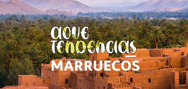 AOVETENDENCIAS Marruecos: el AOVE de calidad se impone en el mercado nacional