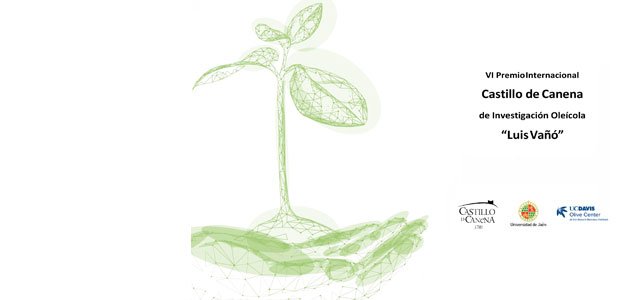 Convocado el VI Premio Internacional Castillo de Canena de Investigación Oleícola “Luis Vañó”